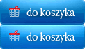 Dodaj do koszyka Usprawnij swój serwis internetowy i zwielokrotnij zyski